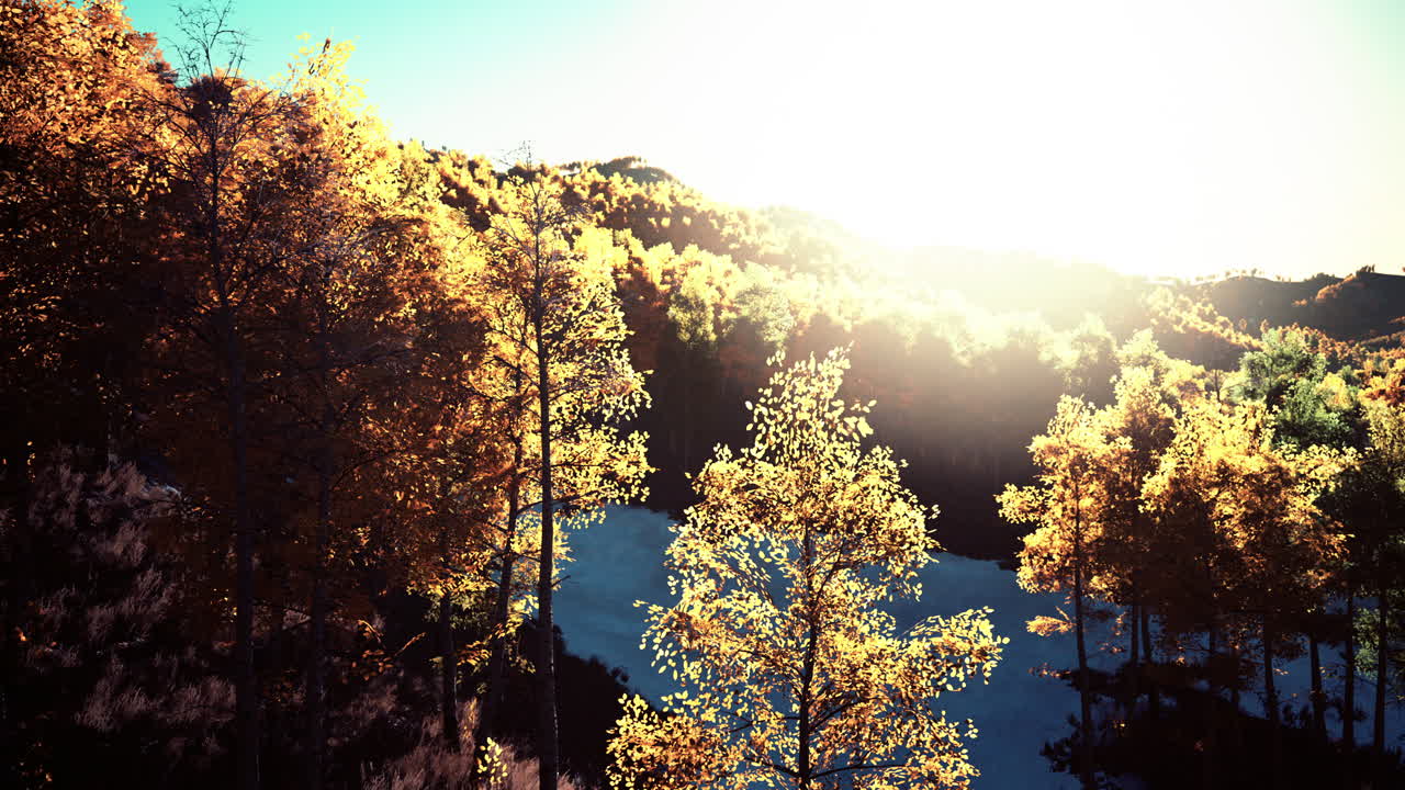 해가 뜨는 가을의 숲 풍경