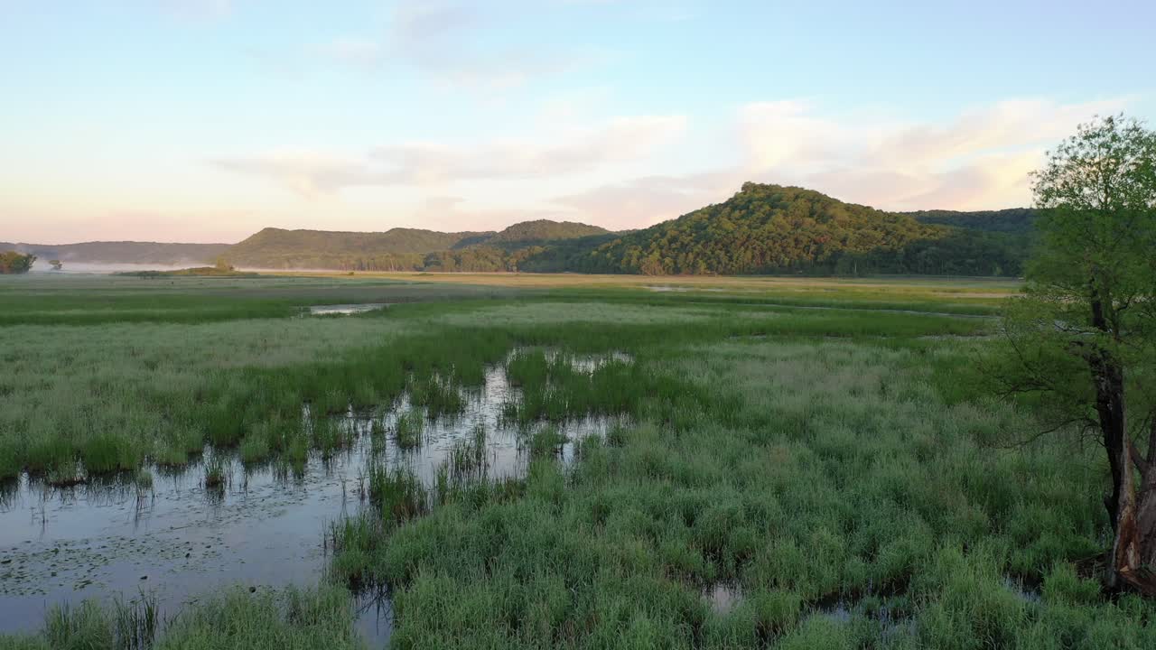 el amanecer sobre un humedal