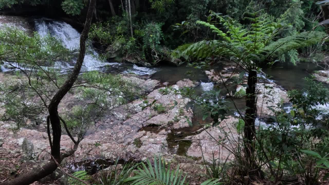 el río tranquilo que fluye en medio de la vegetación exuberante y las rocas