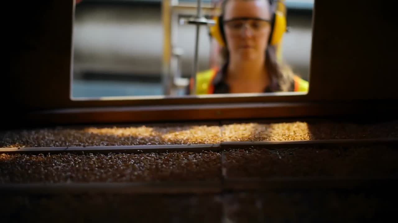 Wheat threshing in factory 4k