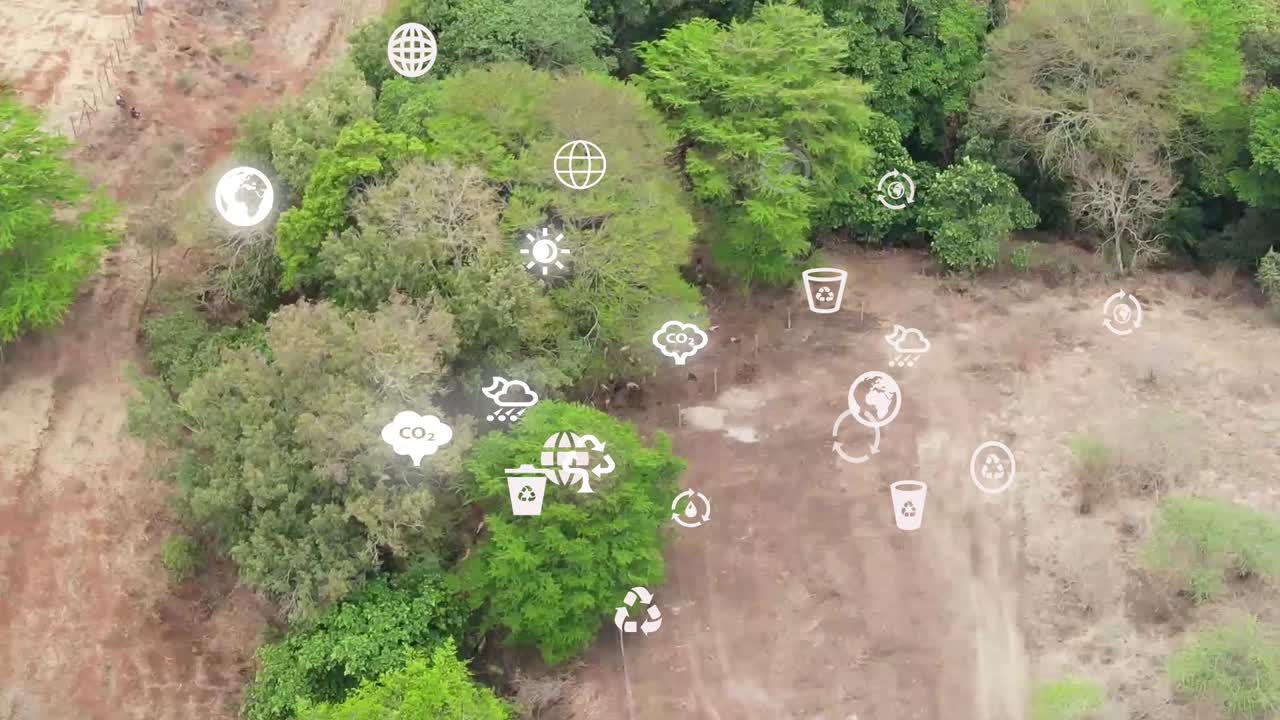 vista aérea futurista de drones de la cobertura forestal