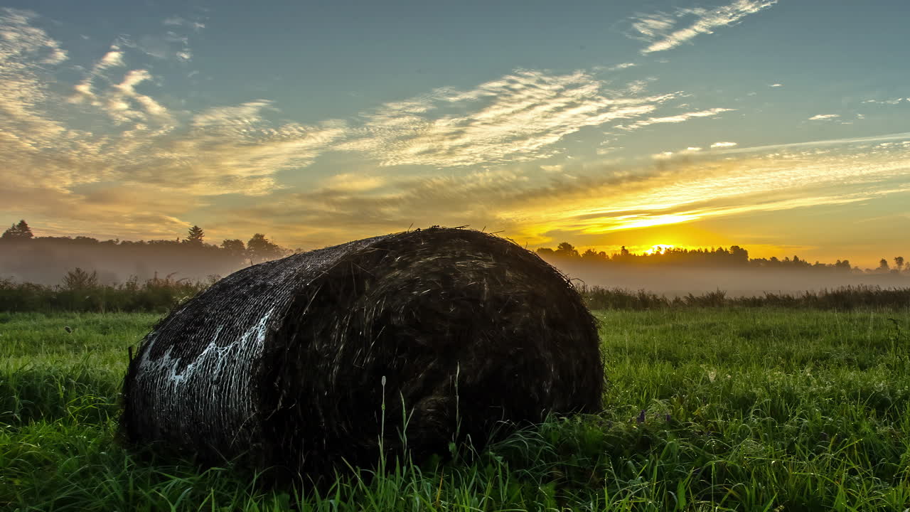 Statische Nahaufnahme eines Heuballens auf einem Grasfeld im schönen Sonnenlicht