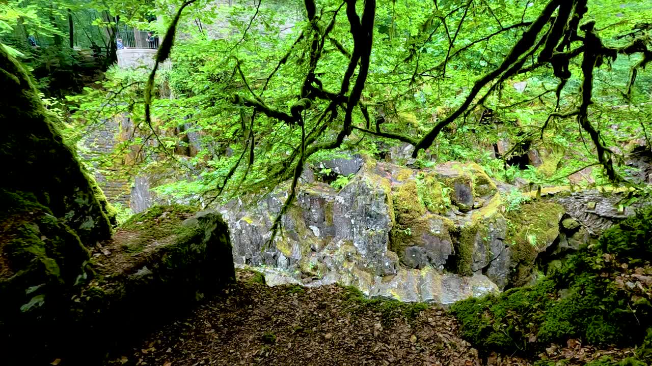 vegetación exuberante y terreno rocoso en escocia