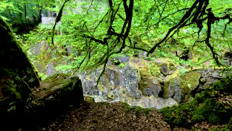 lush greenery and rocky terrain in scotland
