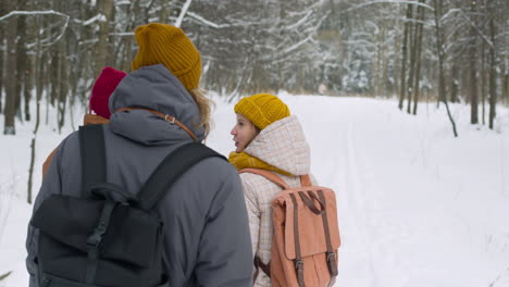 rear view of three friends in winter clothes walking in a winter forest