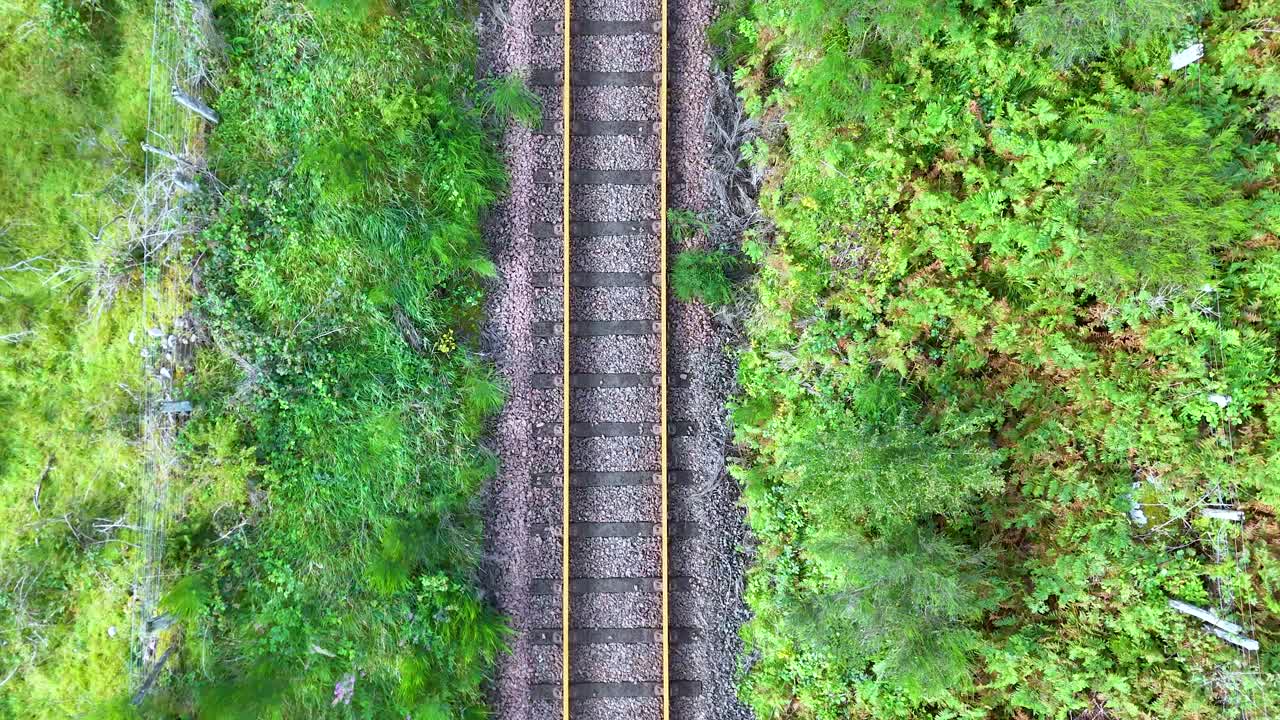Drone footage captures straight railway tracks cutting through lush, vibrant vegetation in the Highlands, Scotland. Bright daylight, steady overhead perspective, no visible trains or people