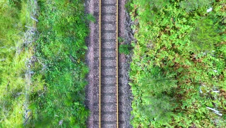 drone footage captures straight railway tracks cutting through lush, vibrant vegetation in the highlands, scotland. bright daylight, steady overhead perspective, no visible trains or people