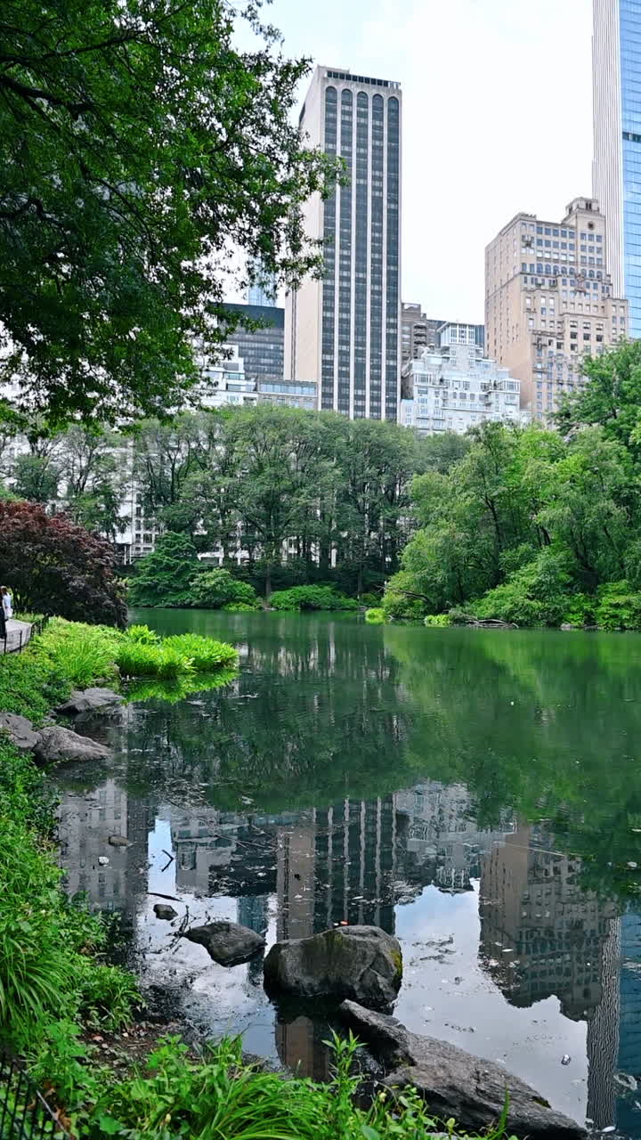 Exploring Central Park tranquil waters. Visitors stroll by a serene pond in Central Park, surrounded by lush greenery and tall buildings