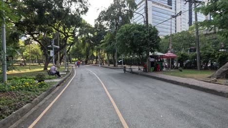 peaceful walk in a lush urban park setting