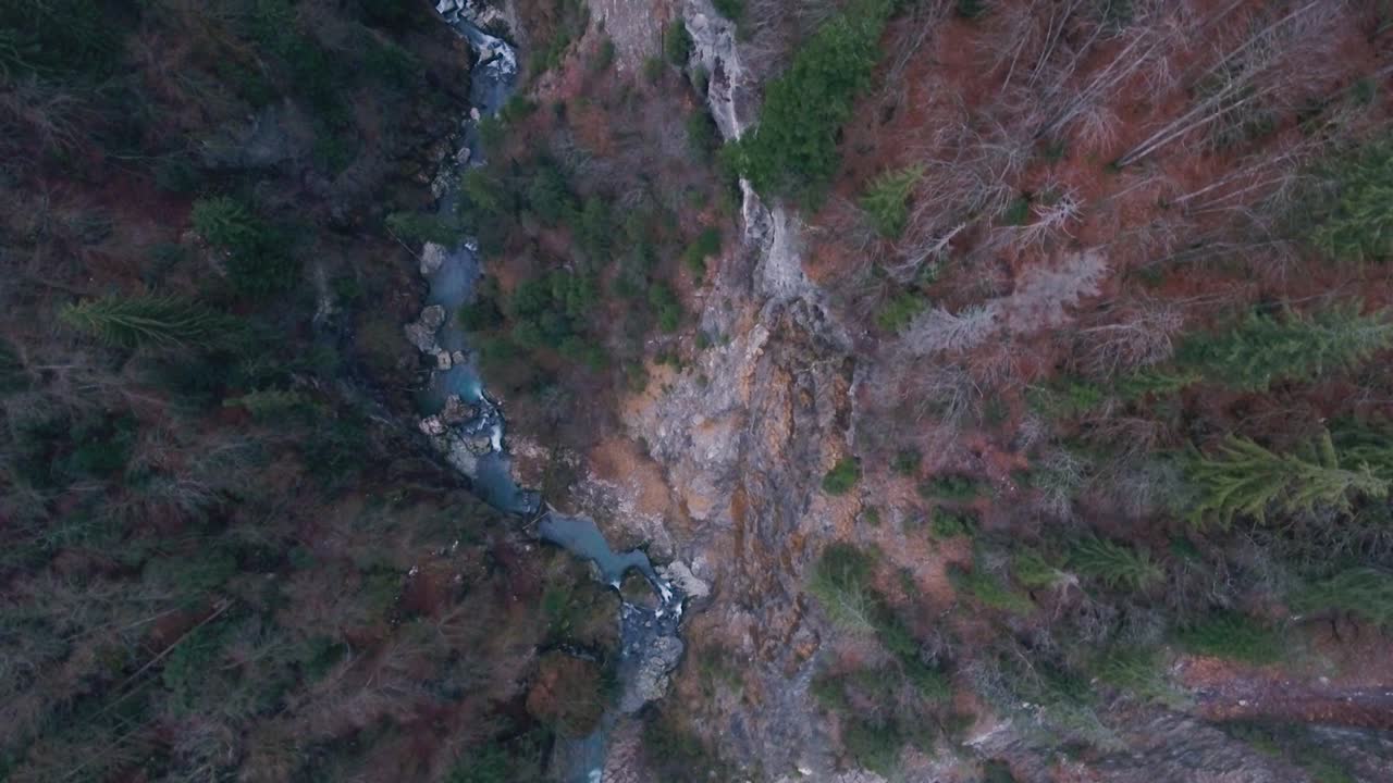 vista de arriba hacia abajo de drones de un desfiladero de río que fluye a través de un paisaje alpino de bosque brumoso en un día de invierno brumoso