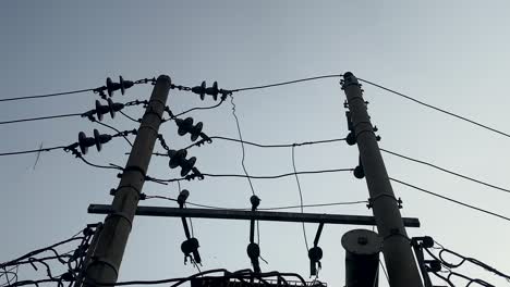 bird perched on electric power supply line, fly away - silhouette low angle shot