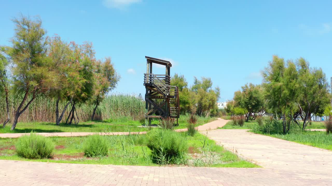 деревянная башня в пустом парке с зелеными деревьями в солнечный день