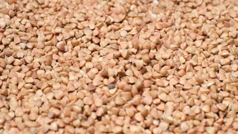 Image of the Food Product Porridge Buckwheat Groats Closeup of Buckwheat Groats Image of the Food Product Porridge Buckwheat Groats Essential Goods Buckwheat Slow Motion