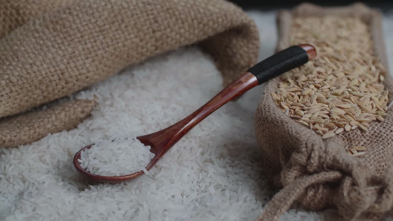 Long White Rice Seeds Panning In Slow Motion. Main Food And  Important Of Asian People