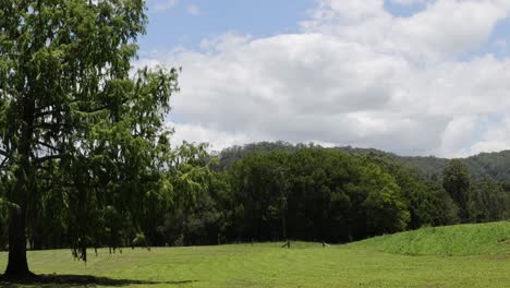 lapso de tiempo de las nubes que se mueven sobre un paisaje verde