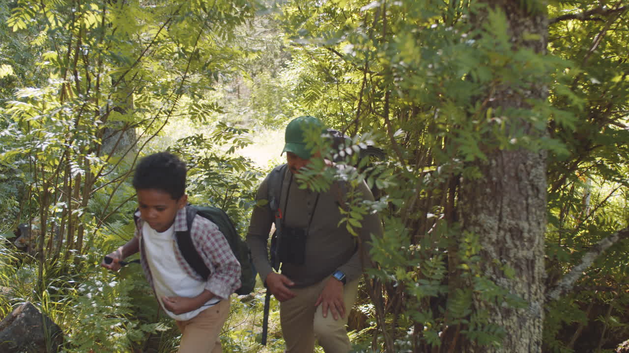 padre e hijo haciendo senderismo en el bosque
