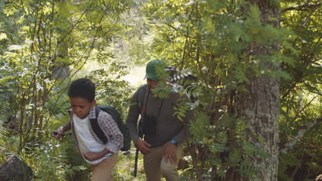 father and son hiking in forest