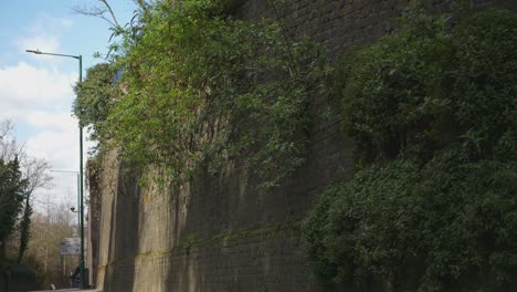 Green-Shrubs-On-High-Wall-Of-The-East-Hill,-Dartford,-Kent,-England,-United-Kingdom