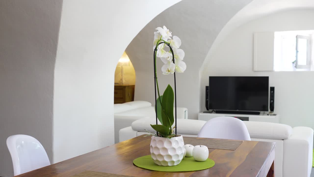 una orquídea en una mesa de la sala de estar, en el fondo el sofá y el televisor