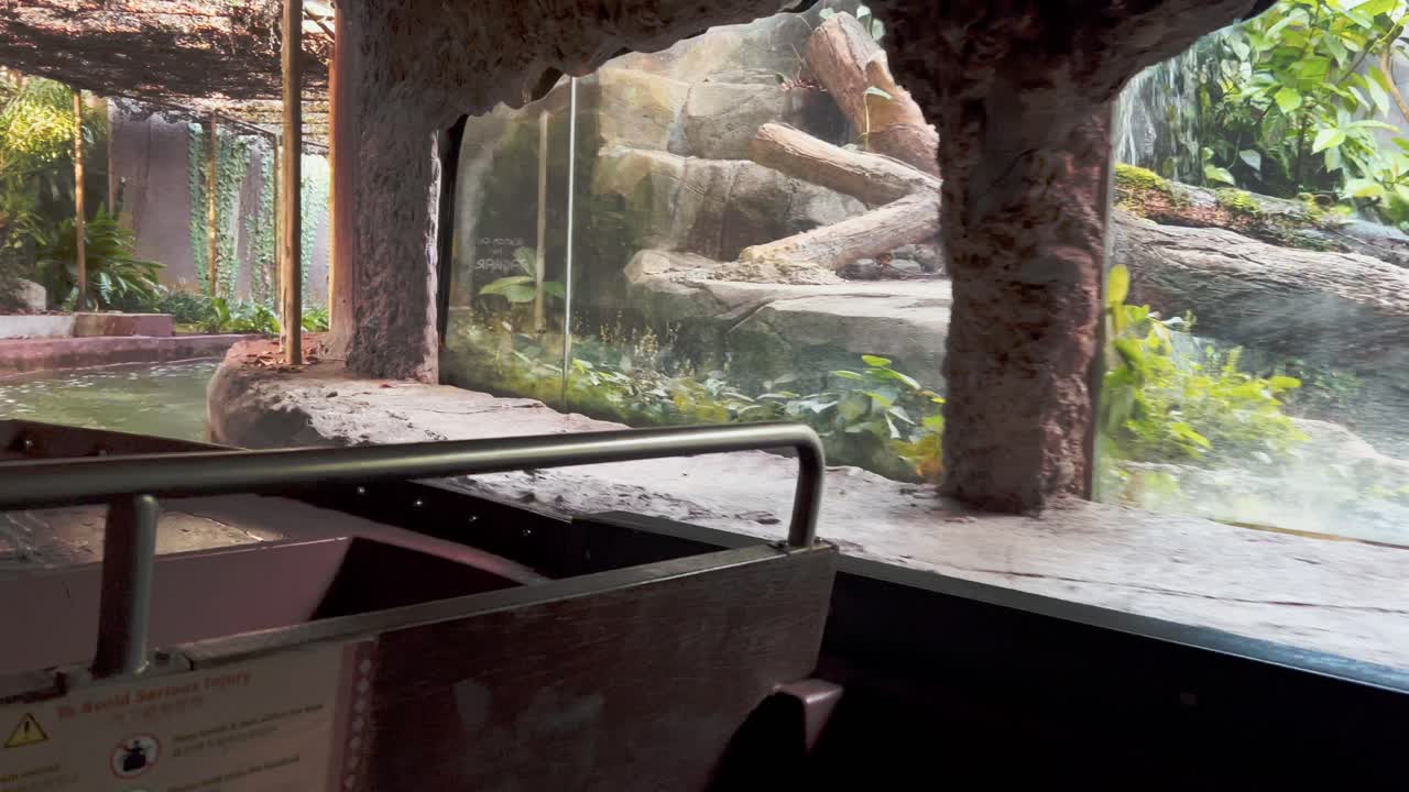 핸드헬드 모션 관점, 싱가포르 강의 경이로움, 사파리 동물원, 만다이 보호 구역, 아름다운 무성한 초목과 단풍 환경을 순항하는 아마존 리버 퀘스트 물 타기