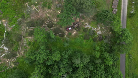 cargador de troncos apilando árboles recién cortados en un lapso de tiempo - deforestación, medio ambiente, industria maderera