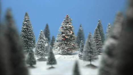 miniature winter wonderland