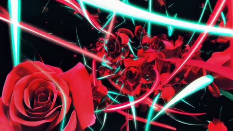red roses and light trails rotating and moving on a black background creating a beautiful and romantic visual effect, perfect for valentine's day, weddings, or any romantic occasion