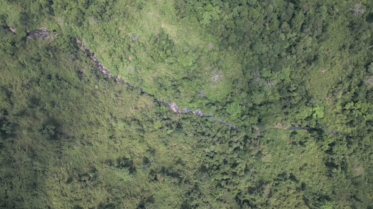Descending spiral movement with a top-down view of a river making its way trough the rainforest.