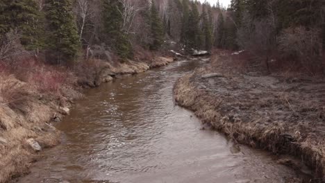 a flowing creek in a wooded valley