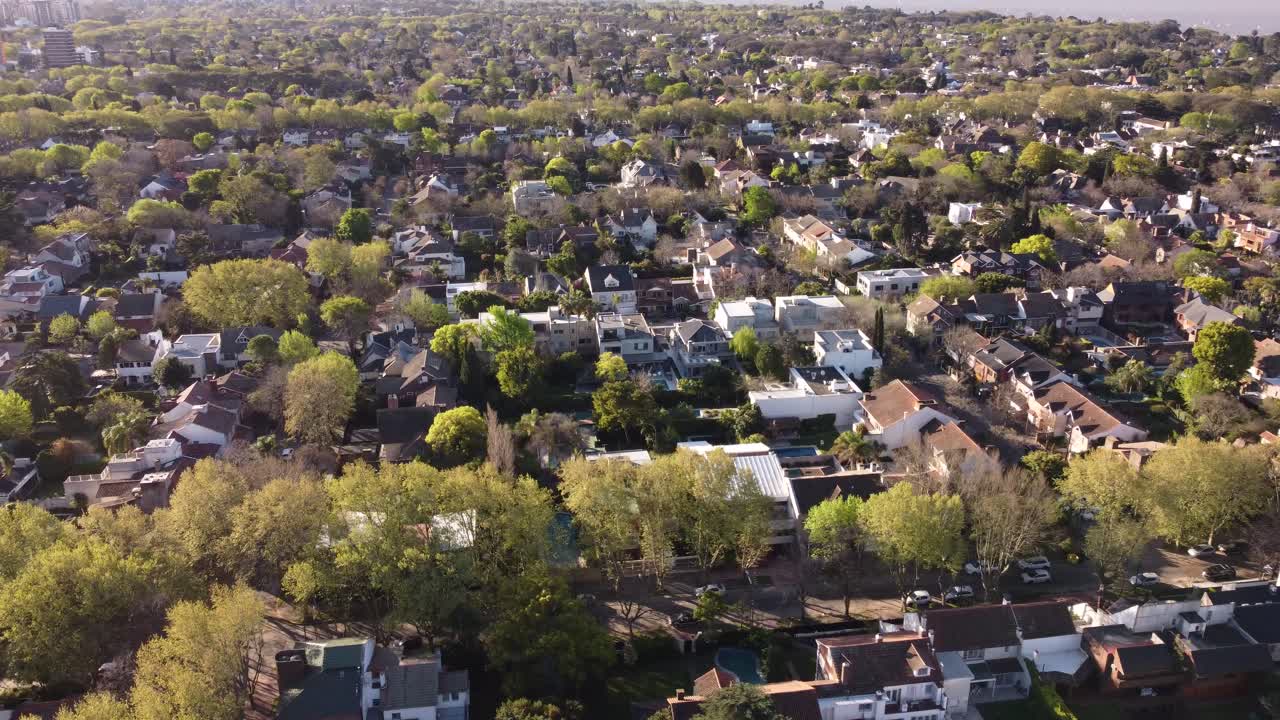 vista aérea que muestra el suburbio rural de san isidro de buenos aires durante el verano - zona residencial con árboles verdes y río de la placa en segundo plano
