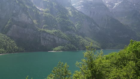 drone shot gliding though trees revealing vast lake and mountain landscape