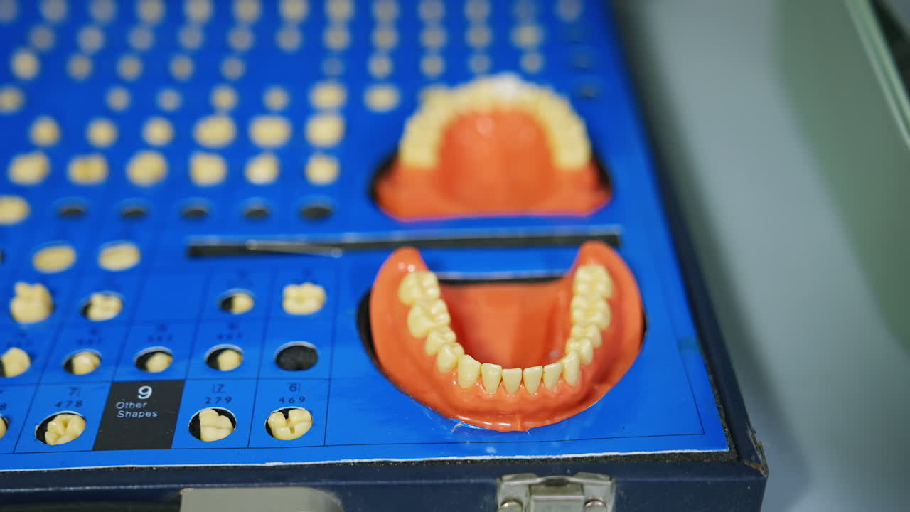 Dentistry materials and samples. A set of diverse teeth and two dentures close up.