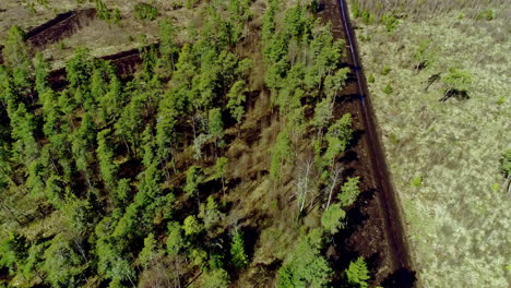 Freshly-dig-trenches-in-forest-of-Ukraine,-aerial-view