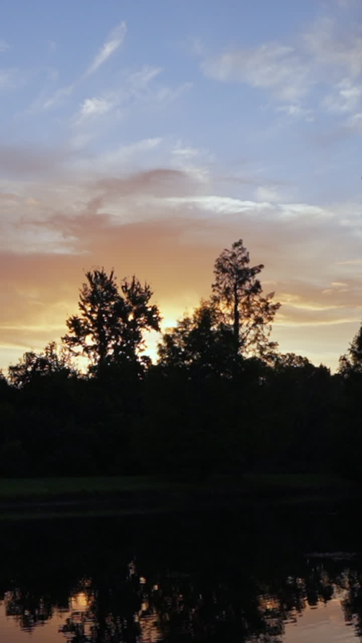 Stunning sunset over Orlando, Florida, silhouetting trees against vibrant skies. Reflective water adds calm. Vertical video perfect for mobile and social media stories
