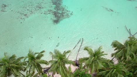 Drone-view-of-Zapatilla-Cay-in-Bocas-del-Toro,-Panama