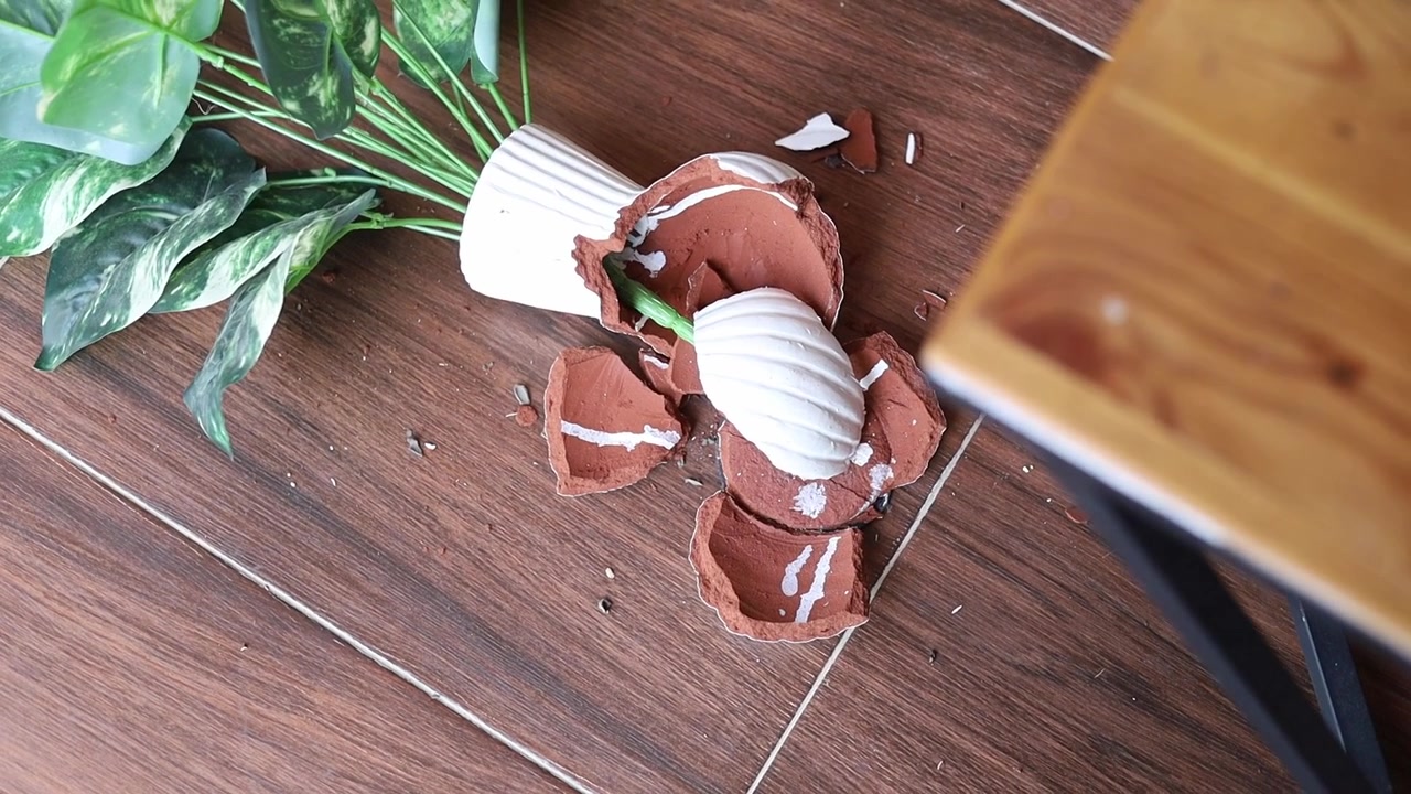 Video of a pottery plant vase that fell on the floor and broke.
