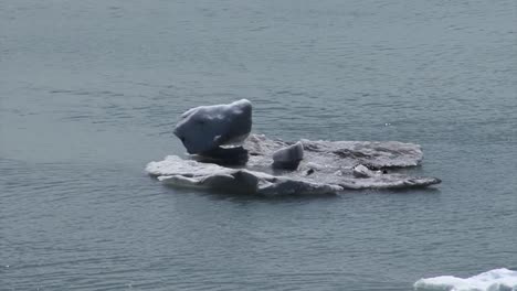 small iceberg floating in the bay-waters of glacier bay national park, alaska