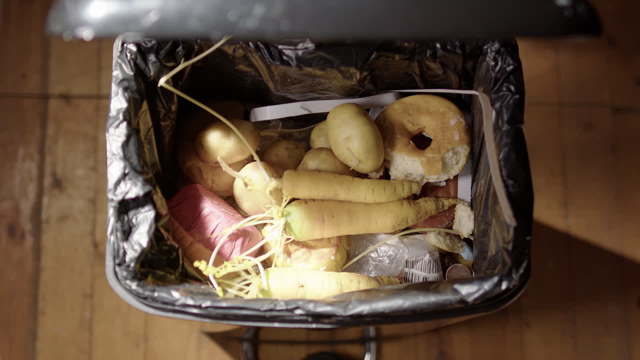 만료 된 채소 가 검은색 쓰레기통 에 버려지는 근접 사진