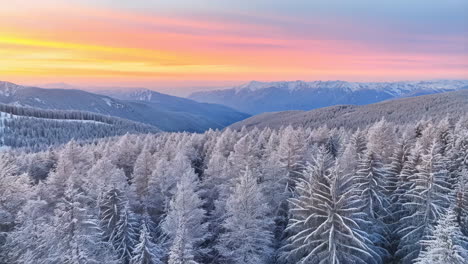 snowy mountain forest with colorful sunrise or sunset sky