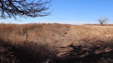 colorado plains 4k video dolly