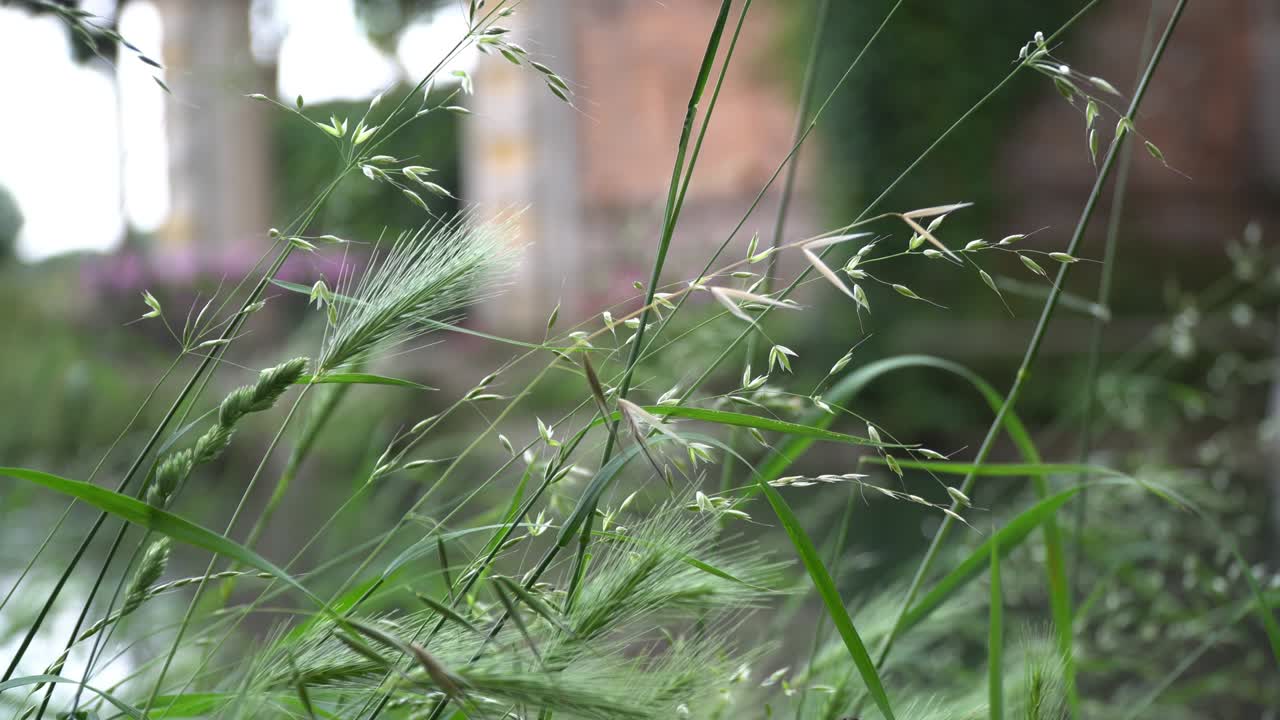 태양 광선 반사와 함께 강의 순수한 물 표면, 명상에 좋은 평온한 장면.
