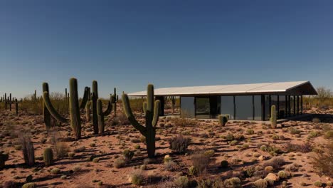 wide angle view of a modern, minimalist house with large windows reflecting the surrounding arizona desert landscape, featuring numerous saguaro cacti and other desert plants under a clear blue sky