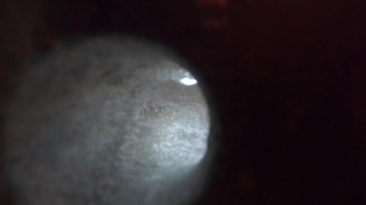 미 육군 방위군은 covid19 대유행 기간 동안 훈련 더미에 비강 면봉을 사용합니다.