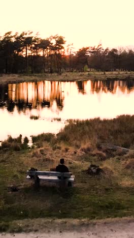 sunset over a forest and marsh landscape