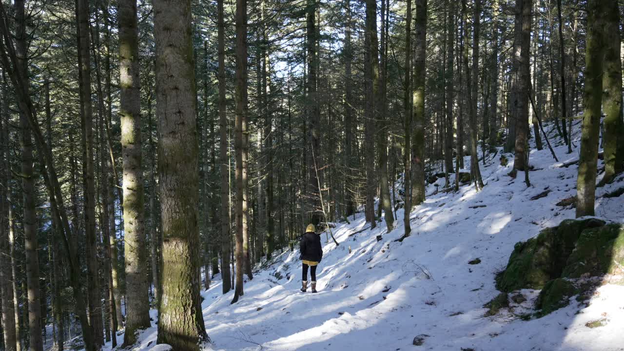 una mujer joven en un viaje de senderismo se dirige por un camino cubierto de nieve bordeado de árboles en el bosque de vosges