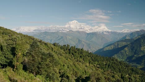 exuberante verde montañas del himalaya paisaje en nepal, lujoso paisaje de montaña con árboles en las estribaciones del himalaya con montañas nevadas detrás en el cielo azul día soleado