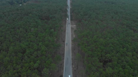 Vista-Aérea-De-Una-Carretera-Que-Divide-Un-Hermoso-Bosque-De-Pinos