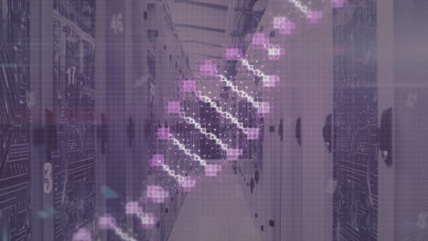 animation of numbers and dna strand over server room