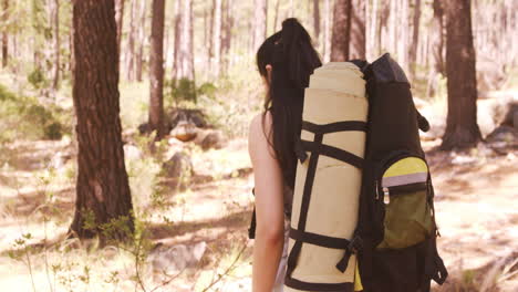 Woman-is-walking-in-the-forest