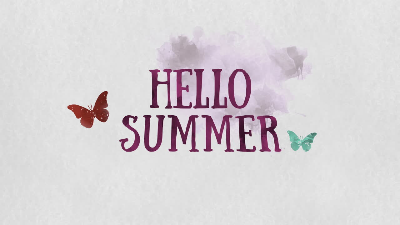 hola verano con mariposa en textura de pintura